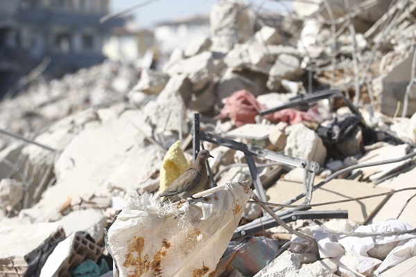 Foto - Tarihi şehrin son hali! Bir zamanlar sokaklar ışıl ışıldı