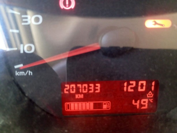 Foto - Tarihi sıcaklık belediyeye sokak hayvanları için çağrı yaptırdı