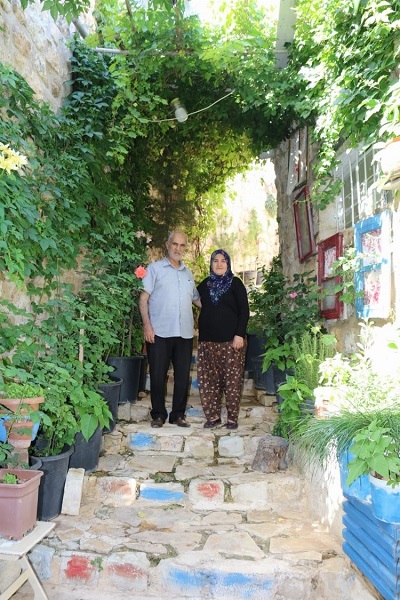 Foto - Tarihi sokak bahçeye dönüştürüldü