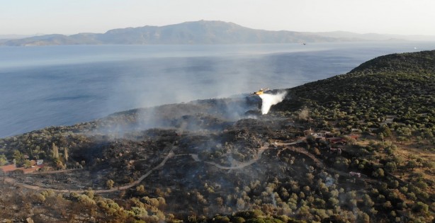Foto - Tarihi tapınak bölgesinde 43 futbol sahası alan zarar gördü