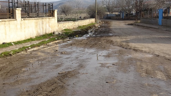 Tarihi türbenin yolu işte bu halde!