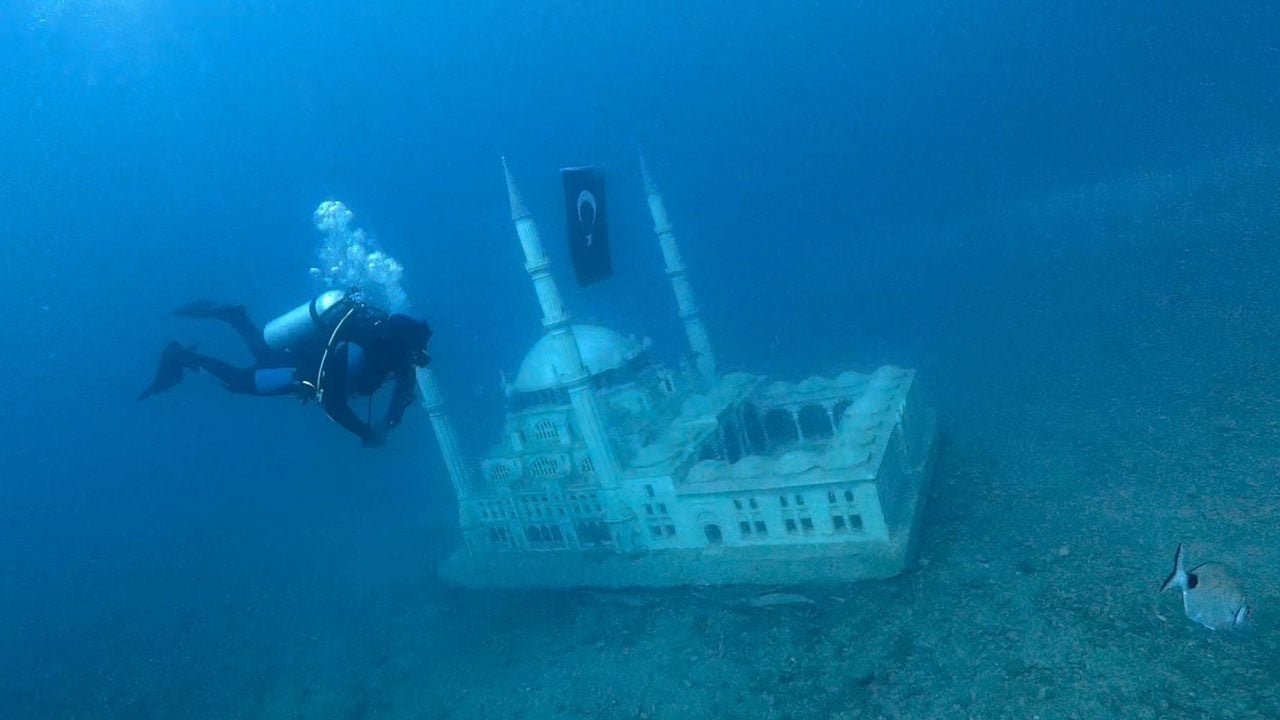 Foto - Tarihi yapay resiflere ahtapot ve kalamarlar yumurta bıraktı! Saros’un altında hayat başladı