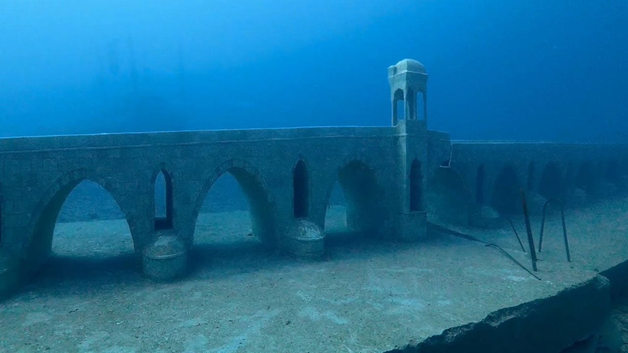 Foto - Tarihi yapay resiflere ahtapot ve kalamarlar yumurta bıraktı! Saros’un altında hayat başladı