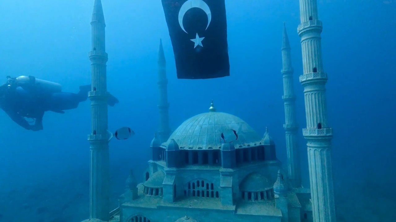 Foto - Tarihi yapay resiflere ahtapot ve kalamarlar yumurta bıraktı! Saros’un altında hayat başladı
