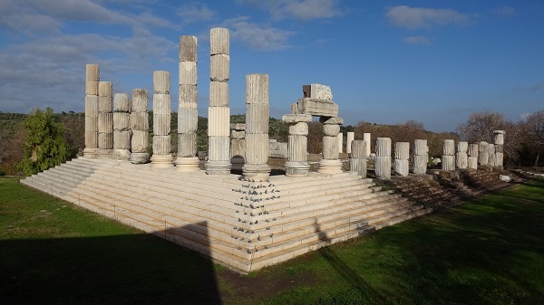 Foto - Tarihi yapıyı fareler bastı!