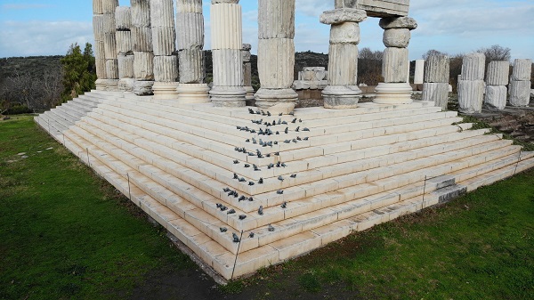 Foto - Tarihi yapıyı fareler bastı!