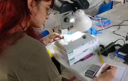 Foto - Tarihi yeniden yazacak kazıda şaşırtan keşif: Antik kentte tamı tamına 2 bin yıllık bronz sikke bulundu!