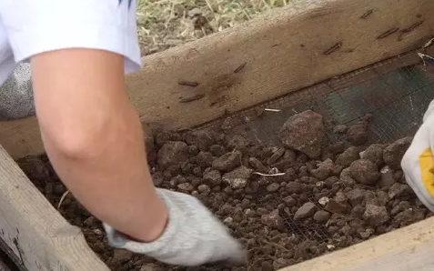 Foto - Tarihi yeniden yazacak kazıda şaşırtan keşif: Antik kentte tamı tamına 2 bin yıllık bronz sikke bulundu!