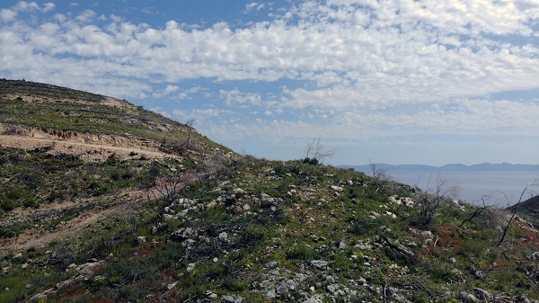 Foto - Tarihin en büyük orman yangını yaşanmıştı! Türkülere konu olan koyun son hali