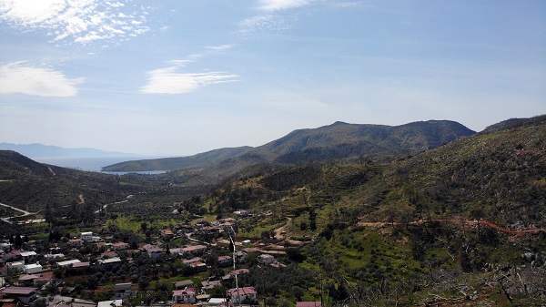 Foto - Tarihin en büyük orman yangını yaşanmıştı! Türkülere konu olan koyun son hali