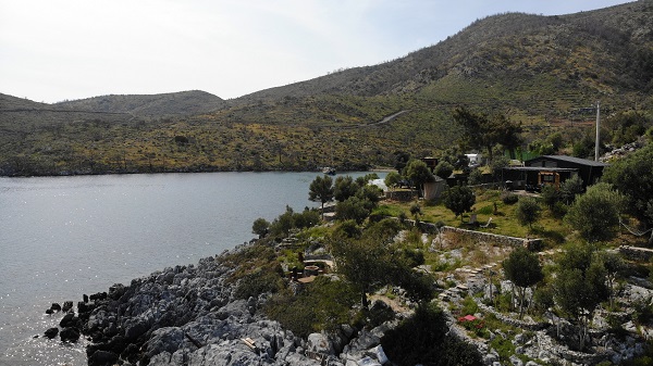 Foto - Tarihin en büyük orman yangını yaşanmıştı! Türkülere konu olan koyun son hali