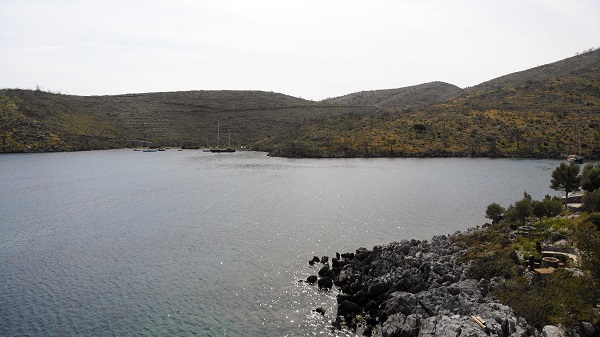 Foto - Tarihin en büyük orman yangını yaşanmıştı! Türkülere konu olan koyun son hali