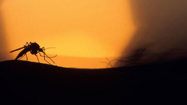 Foto - Tarihin en büyük salgınına hazırlanıyorlar! Önleyemezlerse binlerce insan ölecek