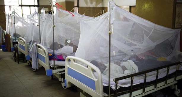 Foto - Tarihin en büyük salgınına hazırlanıyorlar! Önleyemezlerse binlerce insan ölecek