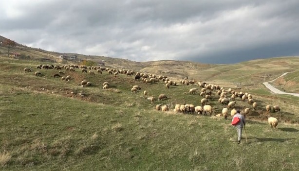 Tarihin en eski mesleği! Onlar da artık sigortalı olabilecek! 30 bin TL destek!