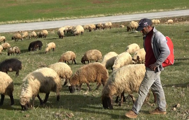 Foto - Tarihin en eski mesleği! Onlar da artık sigortalı olabilecek! 30 bin TL destek!
