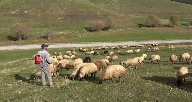 Foto - Tarihin en eski mesleği! Onlar da artık sigortalı olabilecek! 30 bin TL destek!