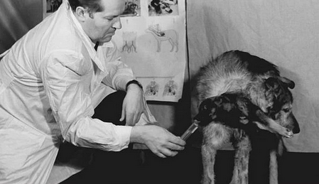 Foto - Tarihin en korkunç deneyi