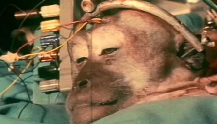 Foto - Tarihin en korkunç deneyi