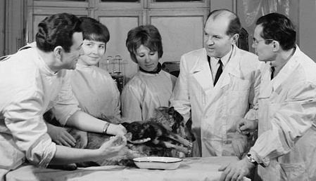 Foto - Tarihin en korkunç deneyi