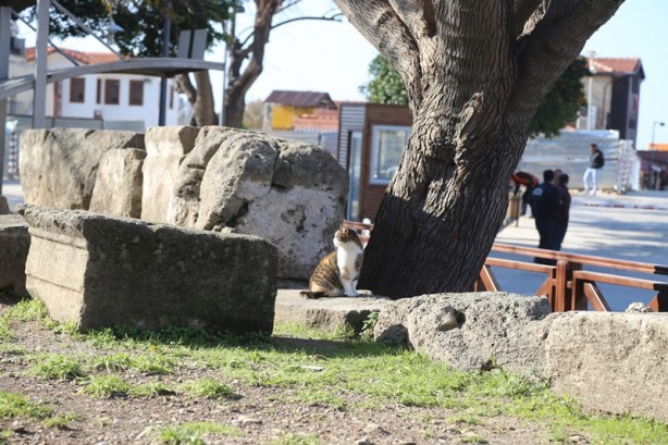 Foto - Tarihte yolculuk edin: Antalya antik kentleri - 1