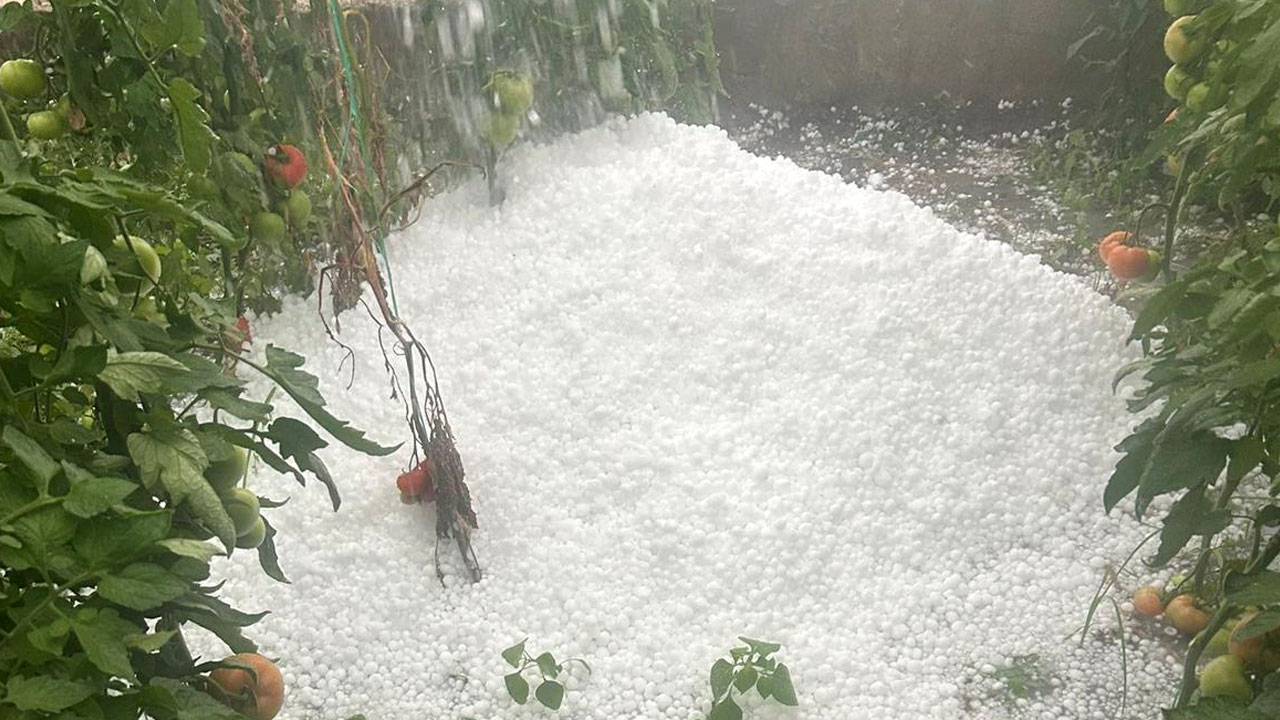 Foto - Tarım alanları zarar gördü! O ilimizde ceviz büyüklüğünde dolu yağdı