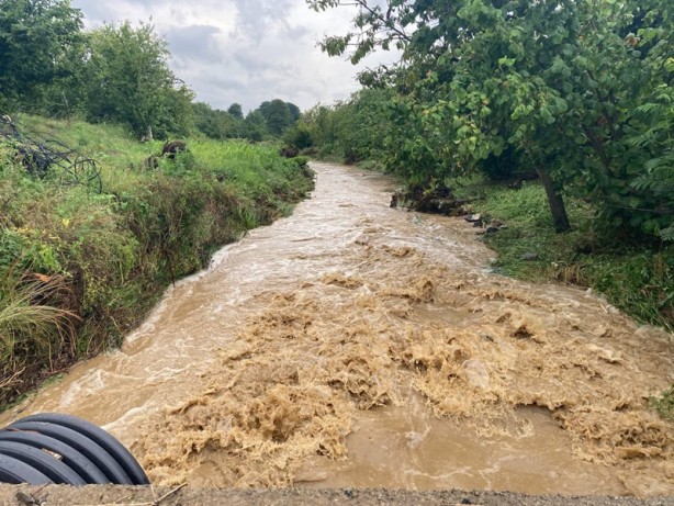 Foto - Tarım arazilerini ve evleri su bastı