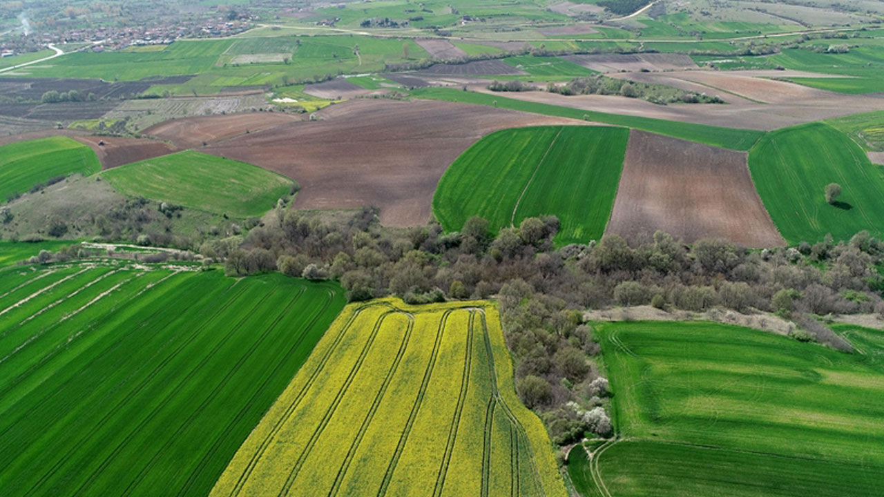 Foto - Tarım arazisi olanlar dikkat! Son tarih 1 Eylül