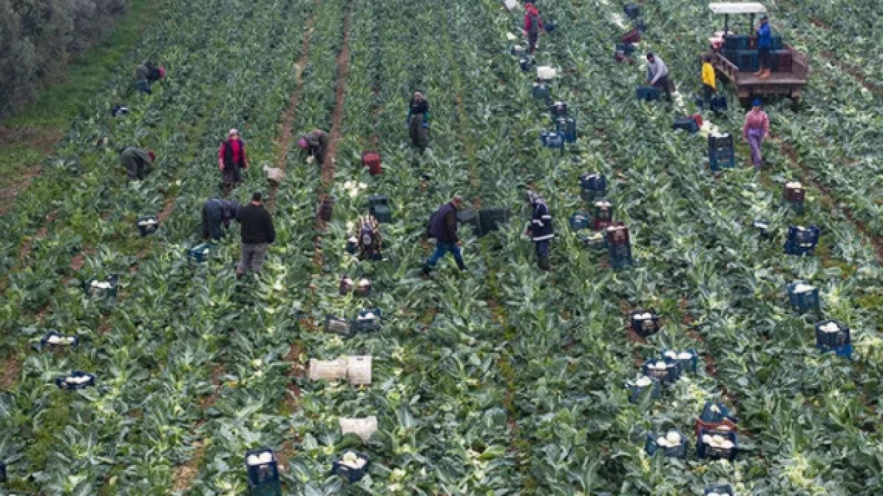 Foto - Tarım Bakanı Yumaklı açıkladı TARSİM TSP’ye 16 ürün eklendi