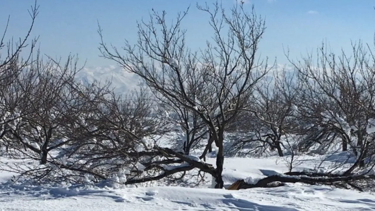 Foto - Tarım Bakanı Yumaklı açıkladı TARSİM TSP’ye 16 ürün eklendi