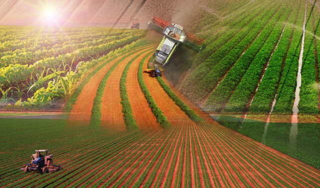 Foto - Tarım bitti mi dediniz? Gelin küresel pazarda kim söz sahibi bakalım