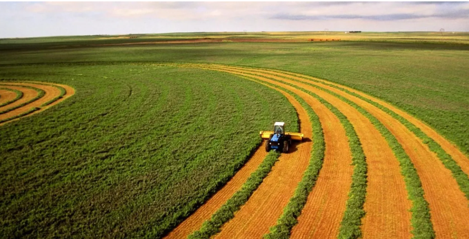 Foto - Tarım bitti mi dediniz? Gelin küresel pazarda kim söz sahibi bakalım