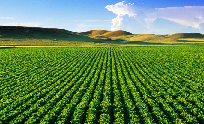 Foto - Tarım bitti mi dediniz? Gelin küresel pazarda kim söz sahibi bakalım