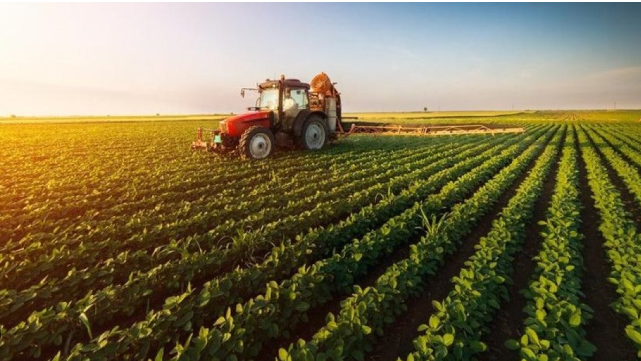 Foto - Tarım bitti mi dediniz? Gelin küresel pazarda kim söz sahibi bakalım