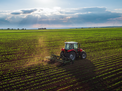 Foto - Tarım bitti mi dediniz? Gelin küresel pazarda kim söz sahibi bakalım