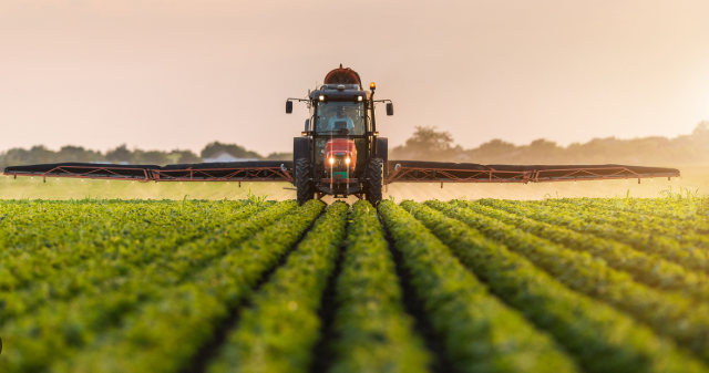 Foto - Tarım bitti mi dediniz? Gelin küresel pazarda kim söz sahibi bakalım