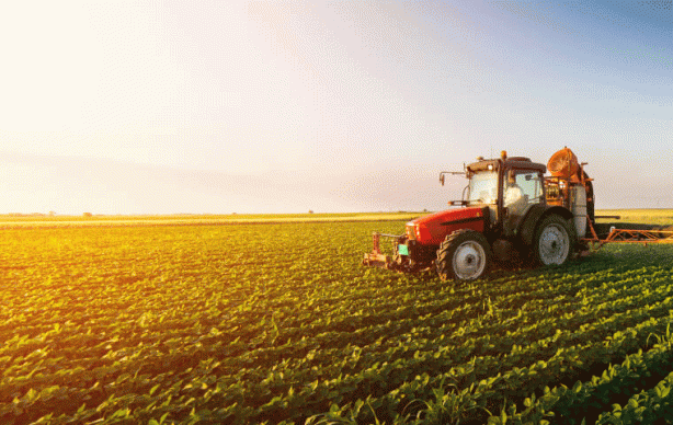 Foto - Tarım devi iflas etti! İşte bu beklenmiyordu