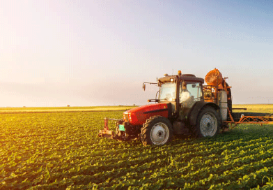 Foto - Tarım devi iflas etti! İşte bu beklenmiyordu