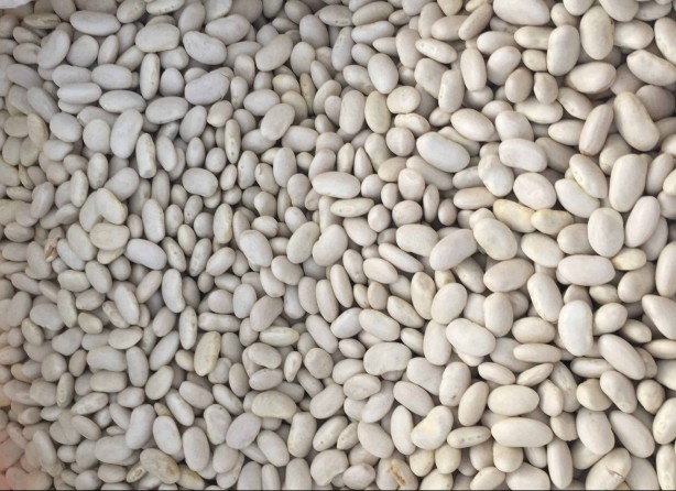 Foto - Tarım Kredi Kooperatifleri marketlerinde indirim başladı