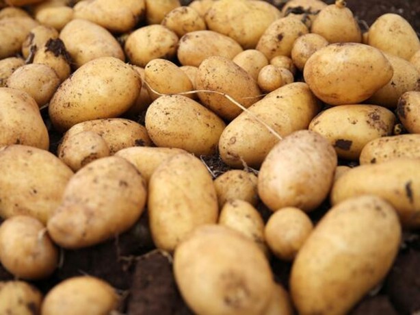 Foto - Tarım Kredi Kooperatifleri marketlerinde indirim başladı