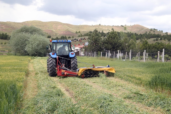 Foto - Tarım meslek liseleri tarafından üretim yapılan alanlarda hasat başladı