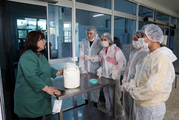 Tarım meslek liseleri tarafından üretim yapılan alanlarda hasat başladı