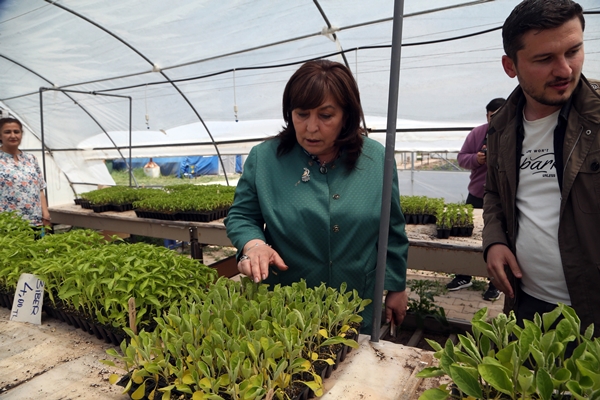 Foto - Tarım meslek liseleri tarafından üretim yapılan alanlarda hasat başladı