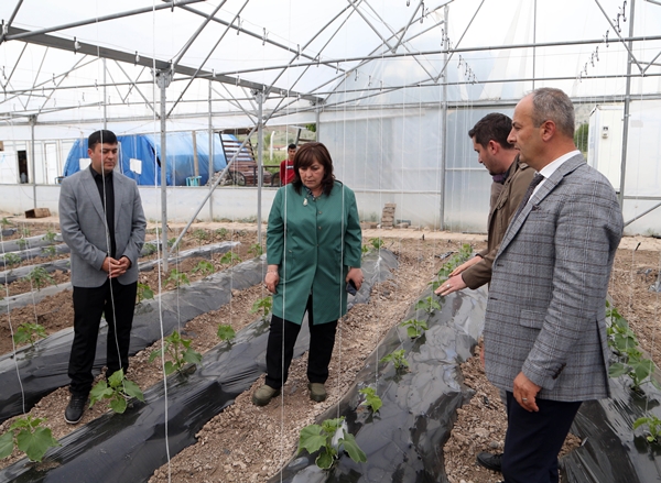 Foto - Tarım meslek liseleri tarafından üretim yapılan alanlarda hasat başladı