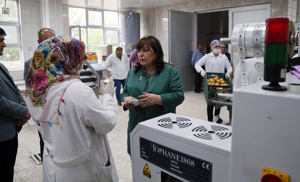 Foto - Tarım meslek liseleri tarafından üretim yapılan alanlarda hasat başladı