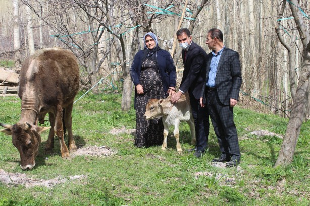 Foto - Tarım ve Orman Bakanı Bekir Pakdemirli, terör mağduru annenin inek talebini yerine getirdi