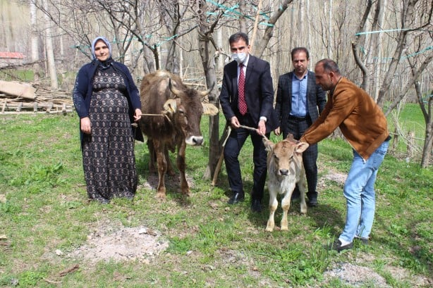 Tarım ve Orman Bakanı Bekir Pakdemirli, terör mağduru annenin inek talebini yerine getirdi