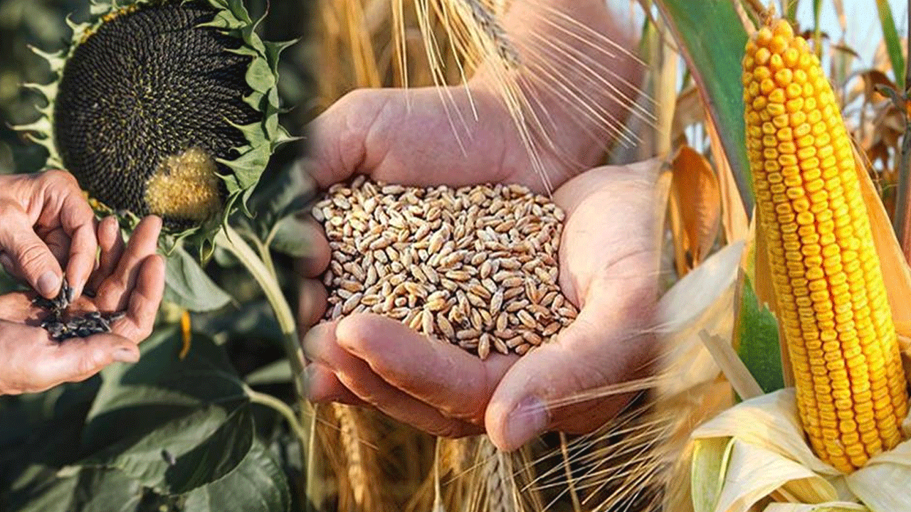 Foto - Tarım ve Orman Bakanı İbrahim Yumaklı, müjdeyi verdi: Paralar hesaplara yatırılıyor