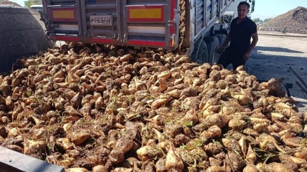 Foto - Tarım ve Orman Bakanlığı harekete geçti! Şekerlerde metal kalıntısı bulundu
