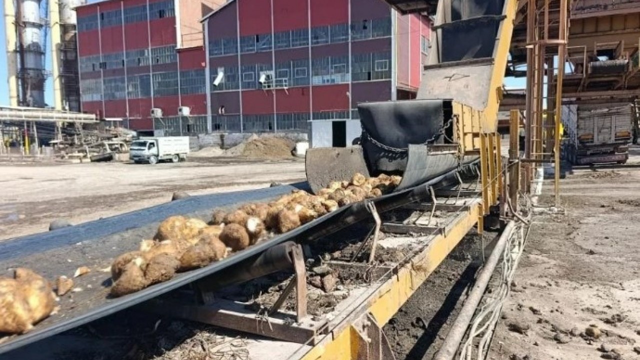 Foto - Tarım ve Orman Bakanlığı harekete geçti! Şekerlerde metal kalıntısı bulundu